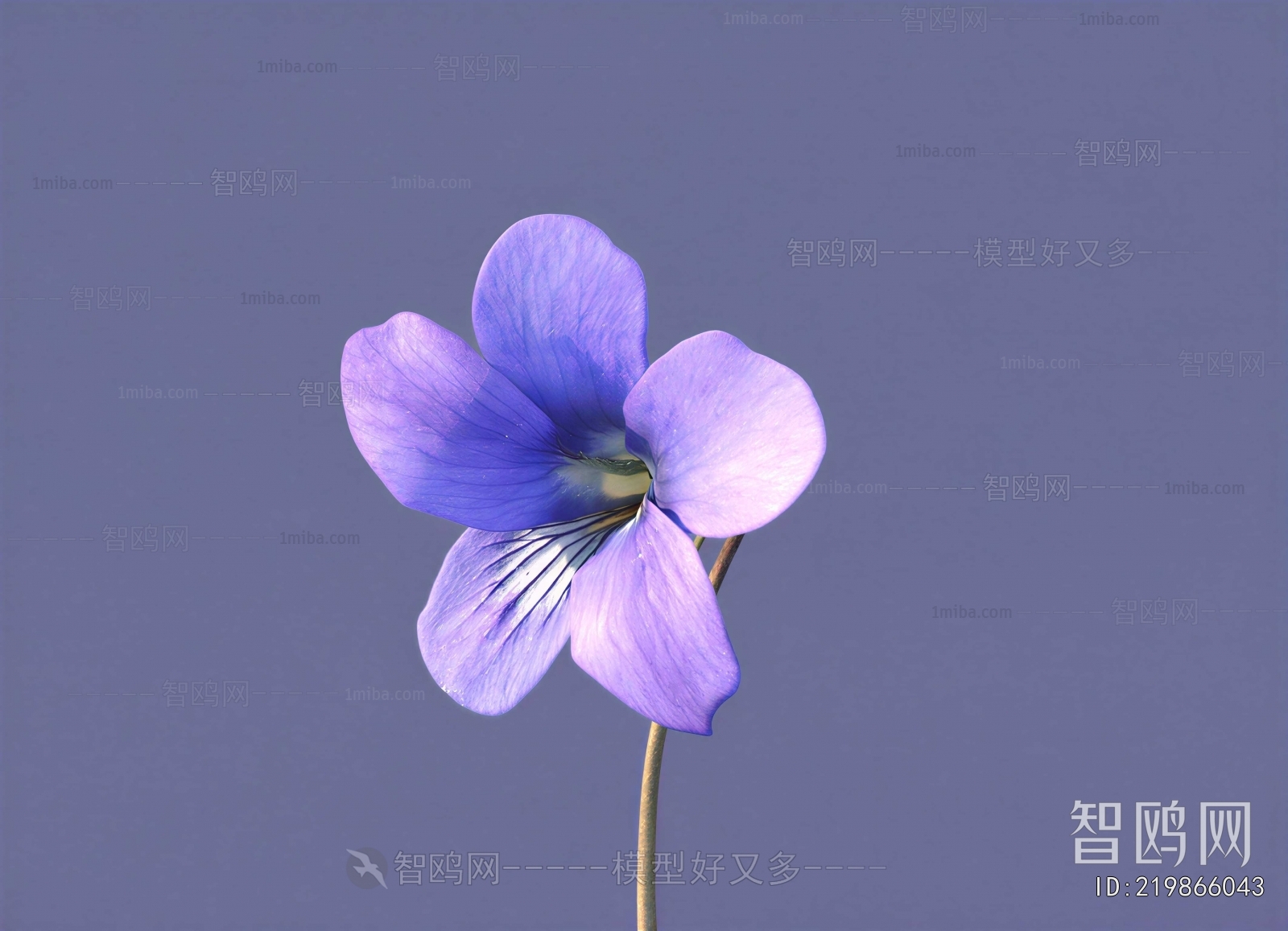 Modern Flowers And Grass