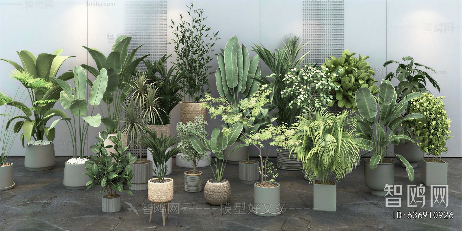 Modern Ground Green Plant Potted Plants