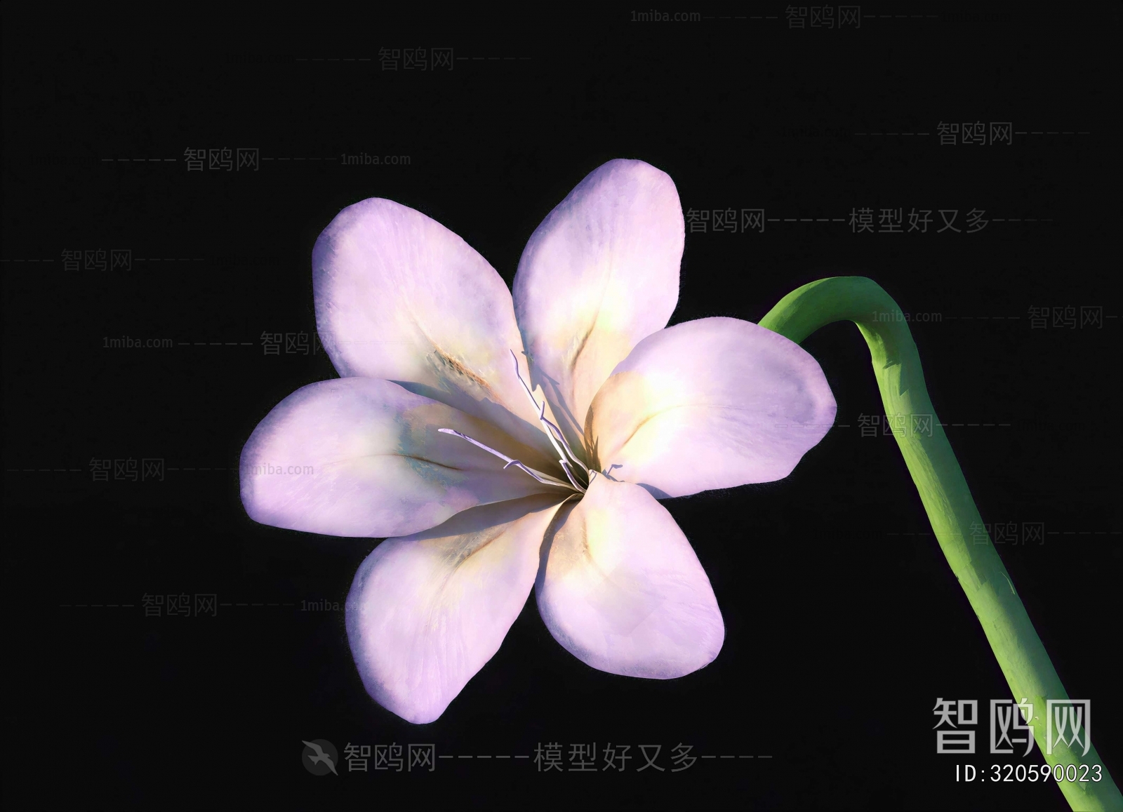 Modern Flowers And Grass
