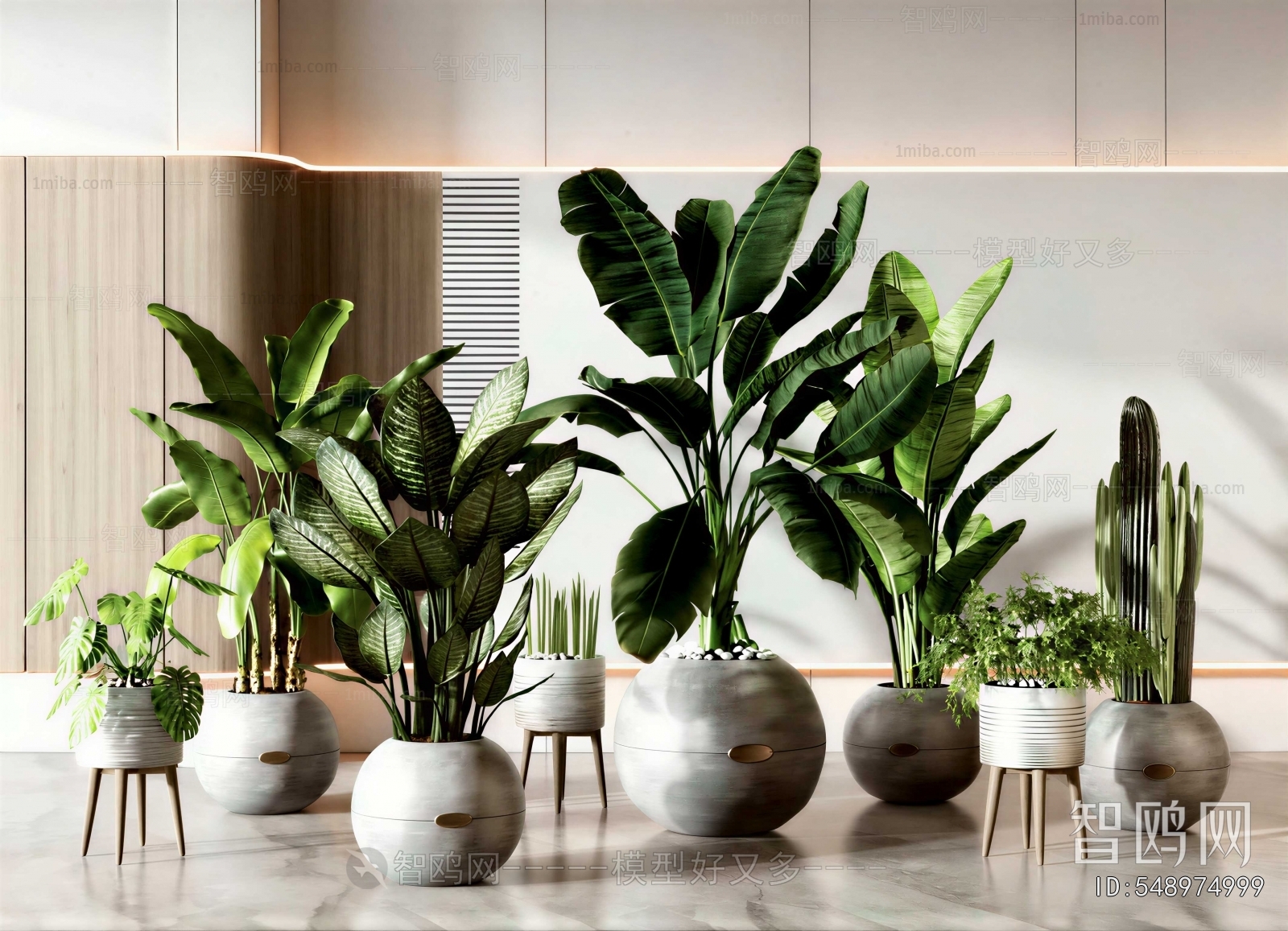 Modern Ground Green Plant Potted Plants