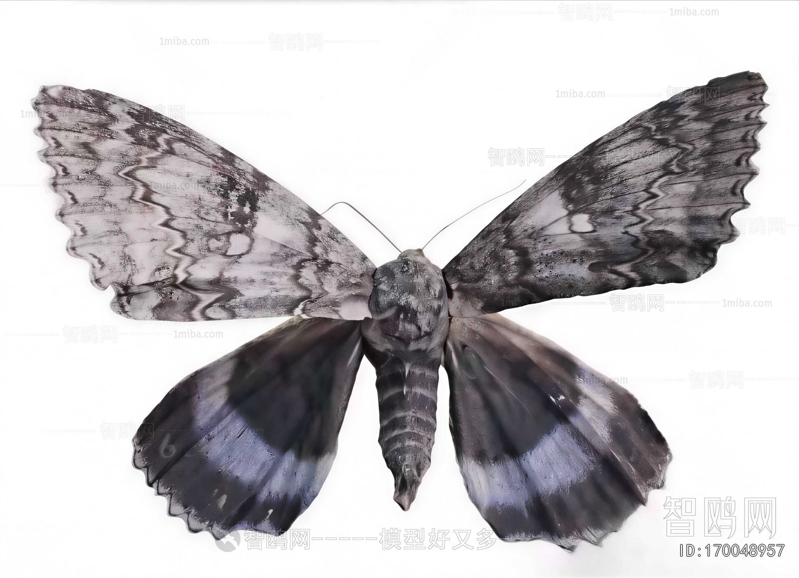 Modern Flying Animals