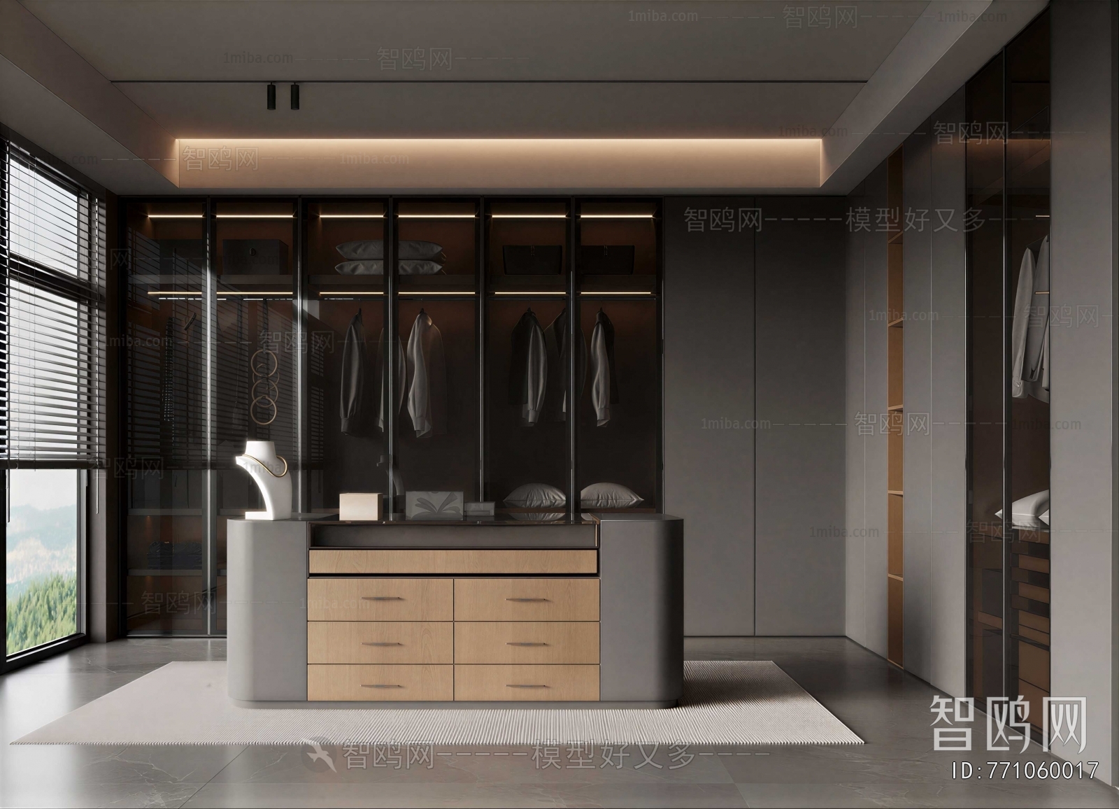 Modern Clothes Storage Area