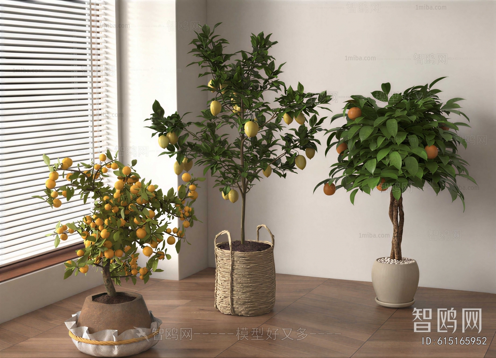 Modern Ground Green Plant Potted Plants