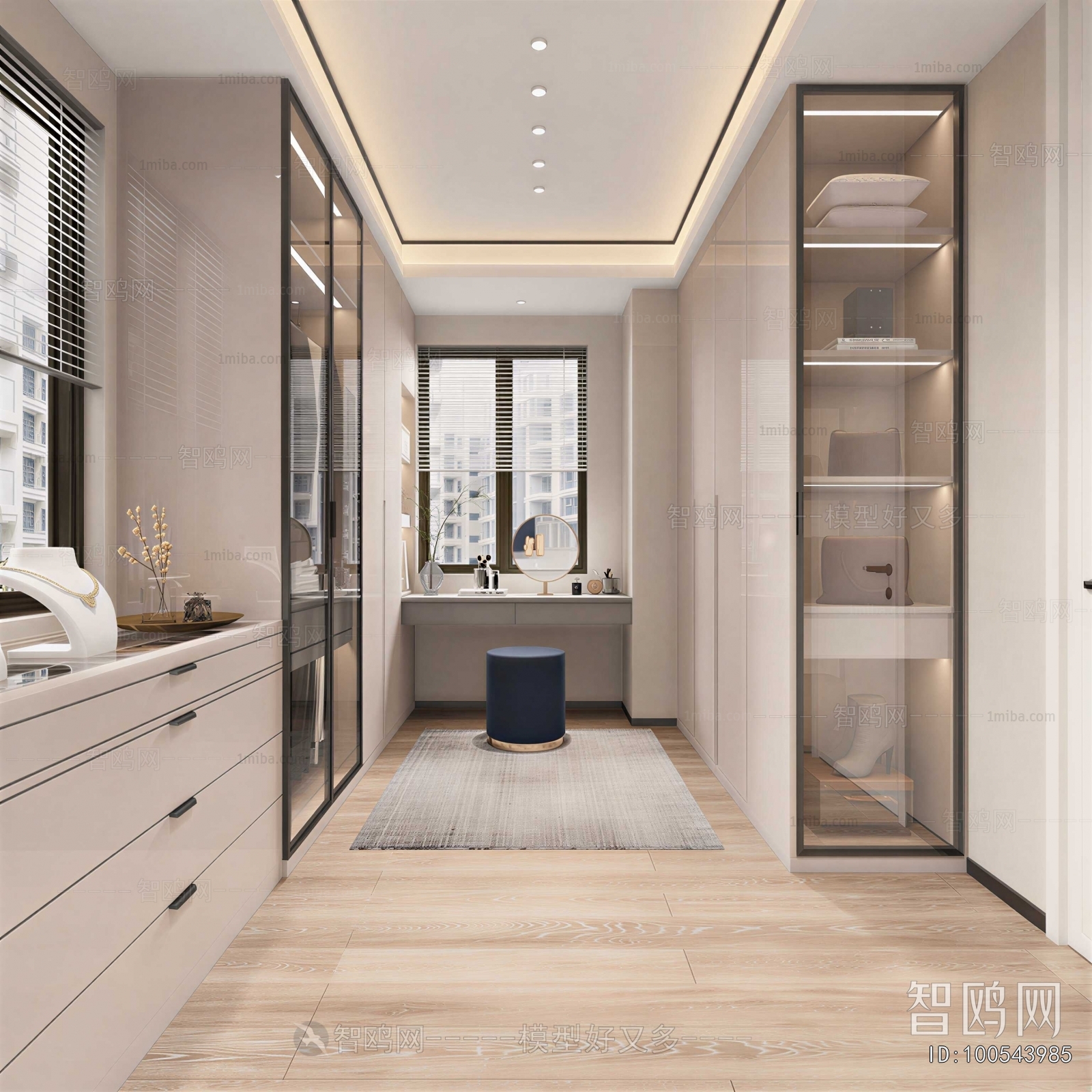 Modern Clothes Storage Area