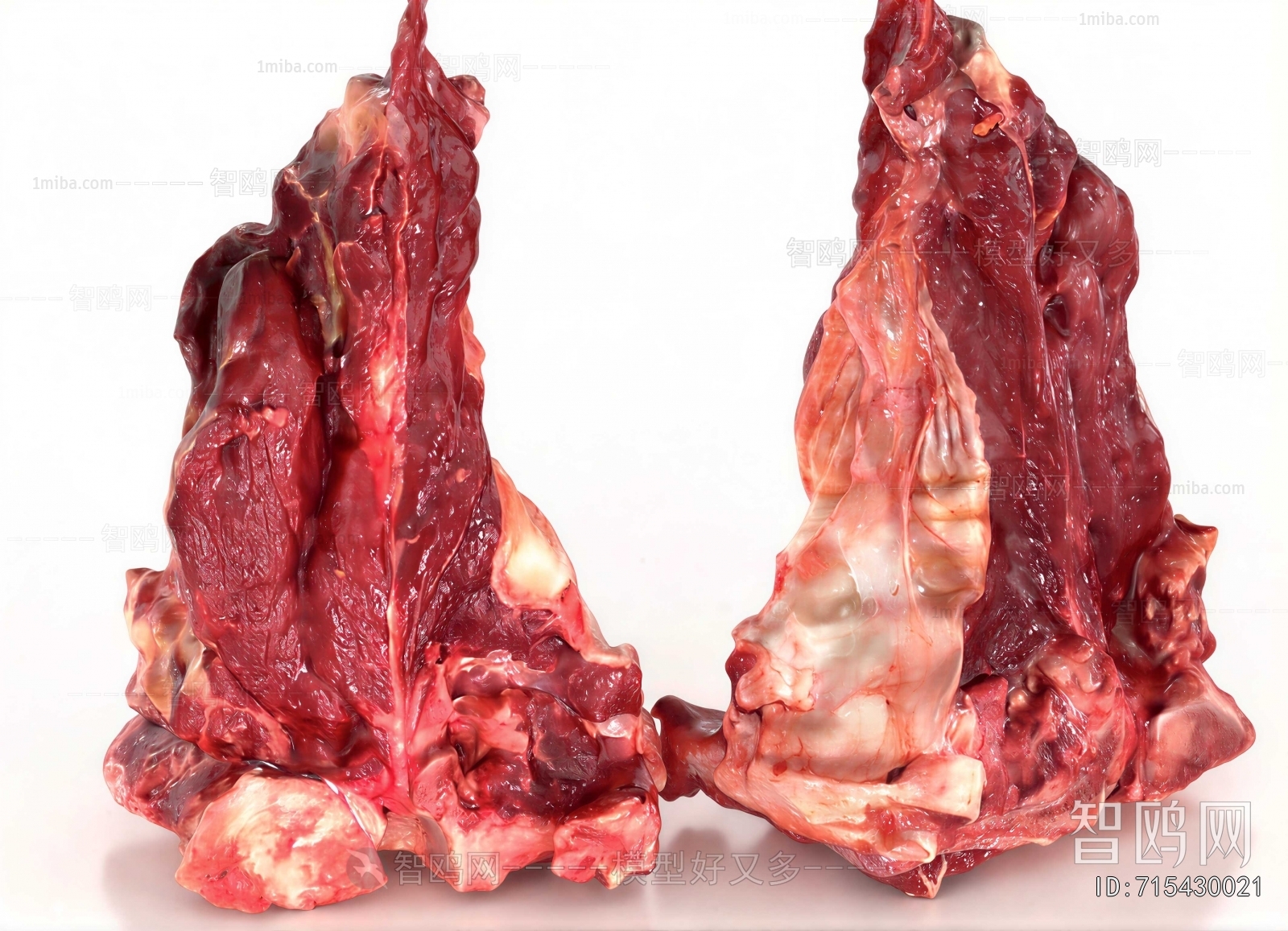 Modern Meat Product