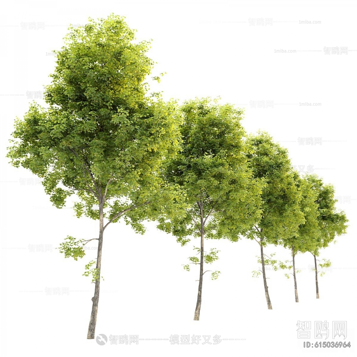 Modern Tree