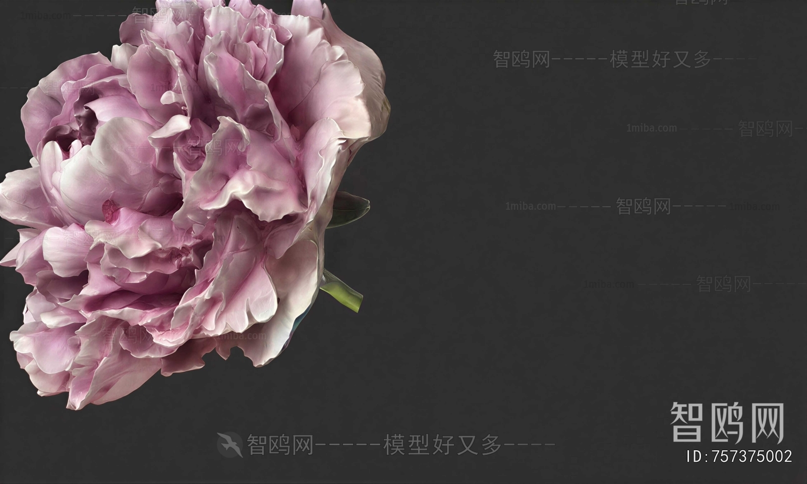 Modern Flowers And Grass