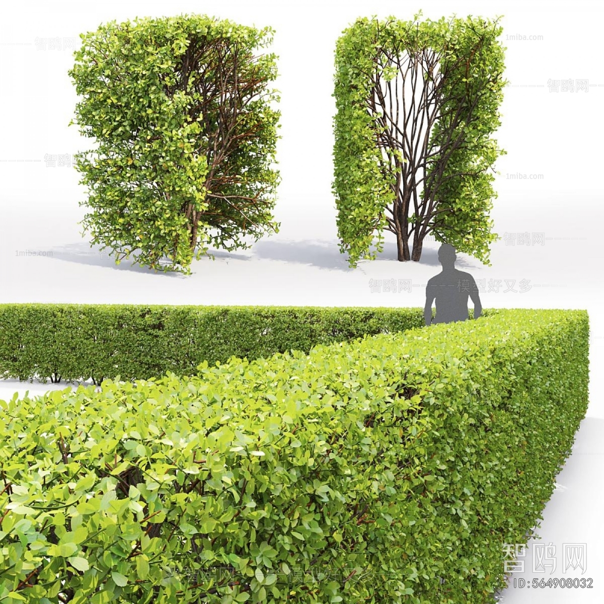 Modern Shrubbery