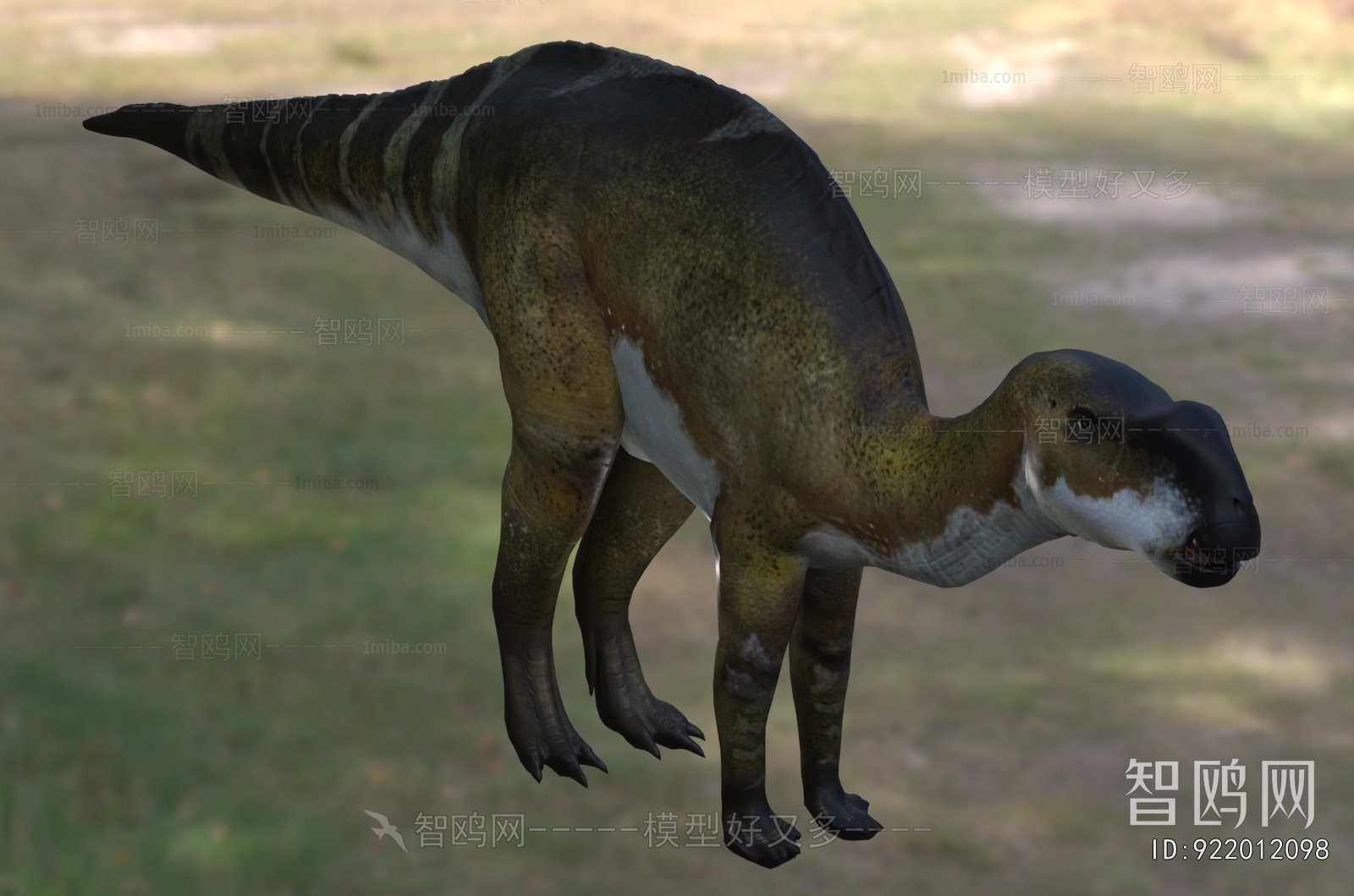 Modern Other Animals