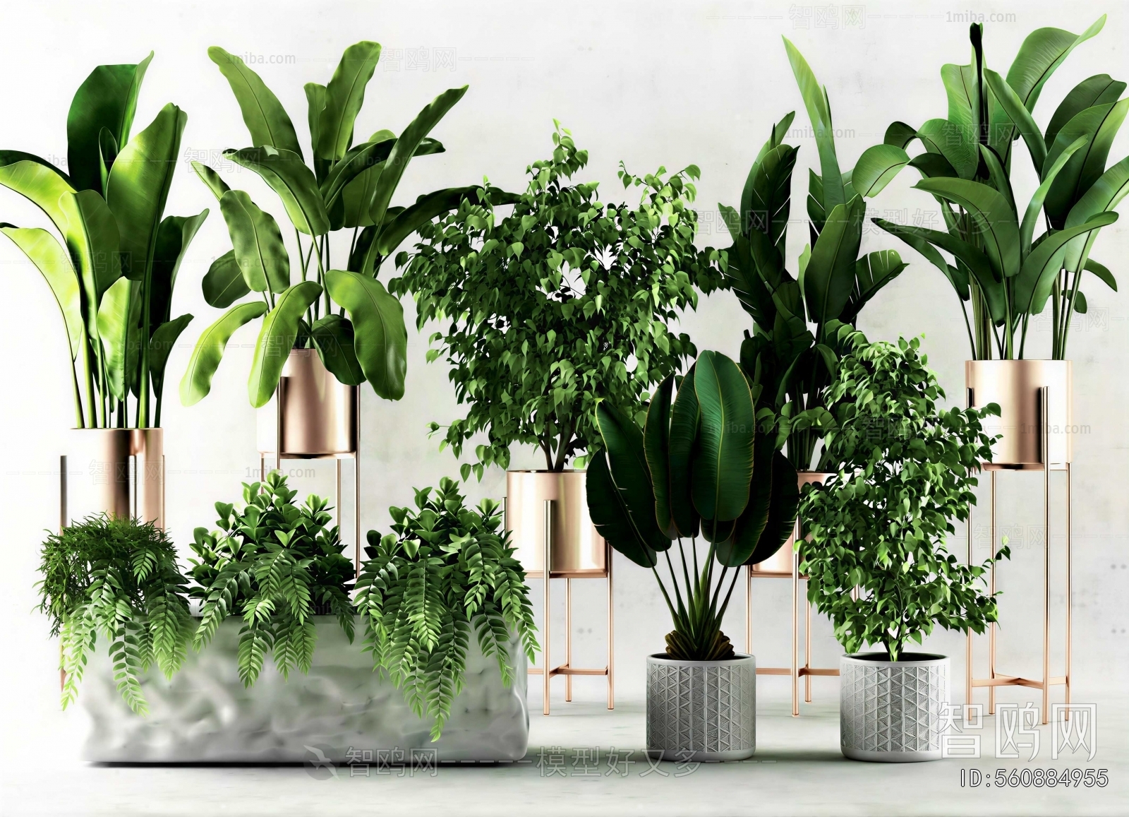 Modern Ground Green Plant Potted Plants