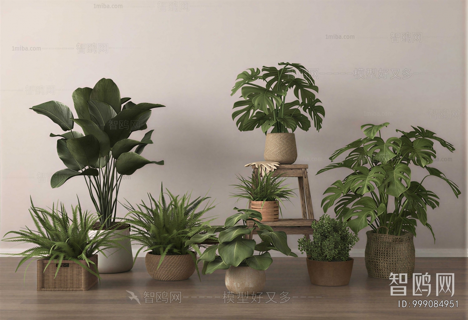 Modern Ground Green Plant Potted Plants