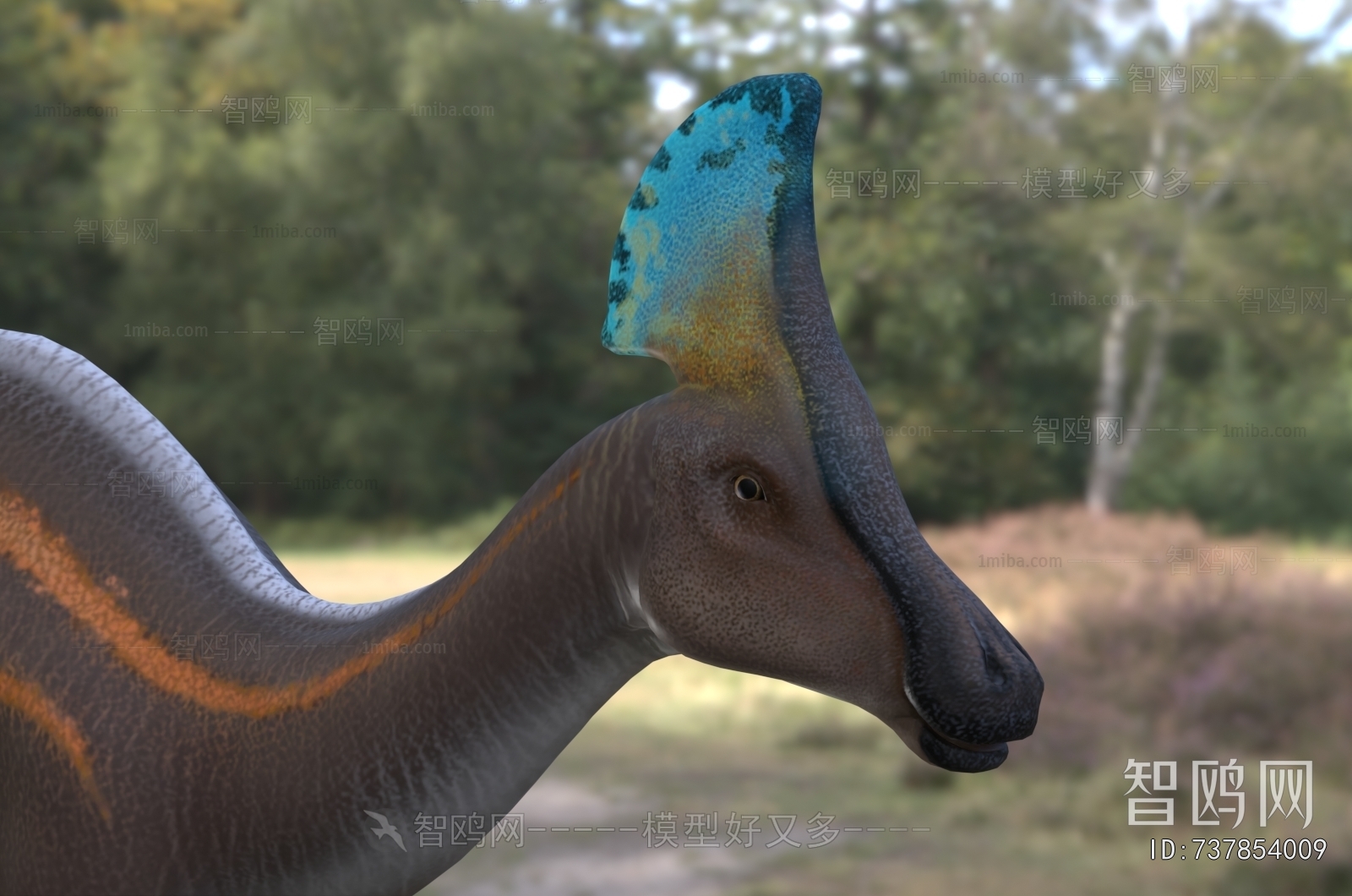 Modern Other Animals