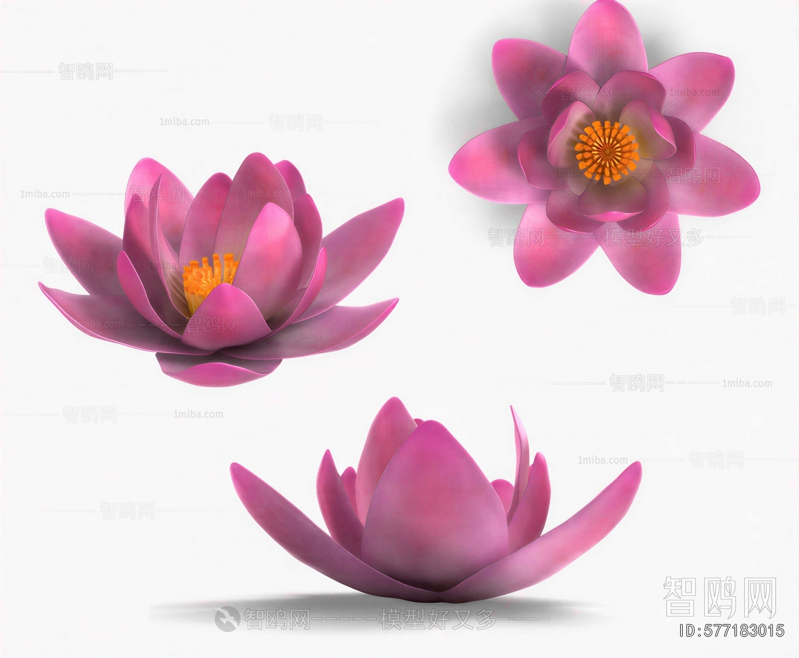 Modern Flowers And Grass