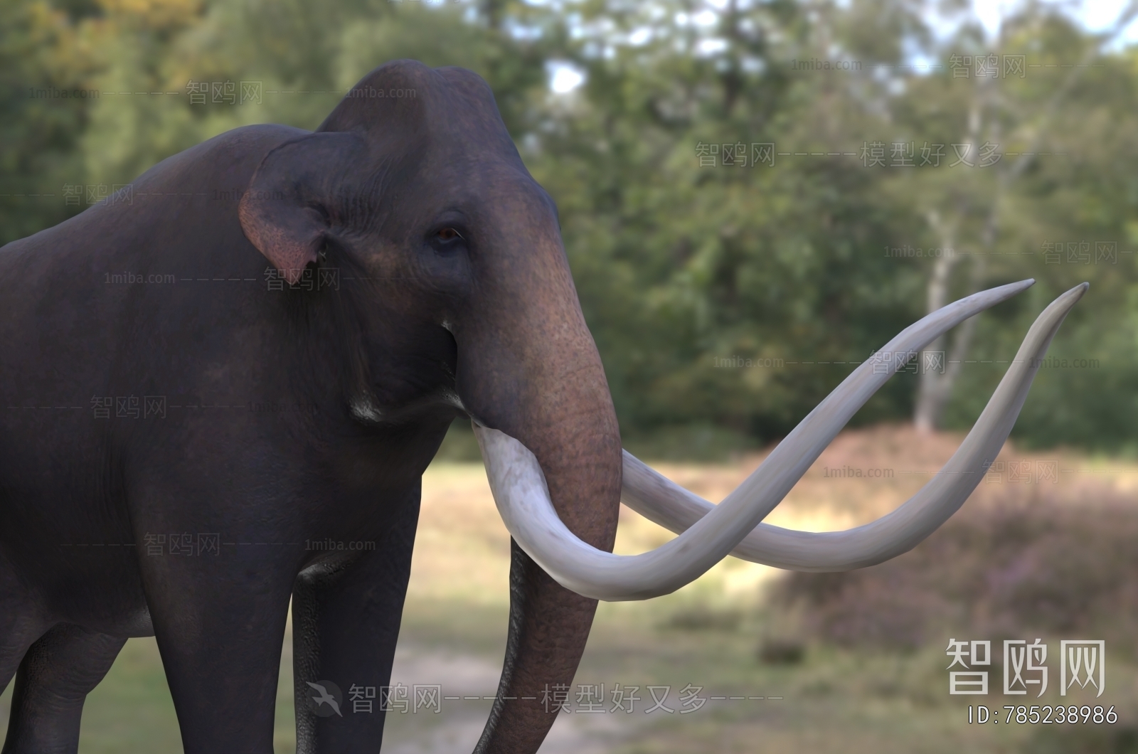 Modern Mammal