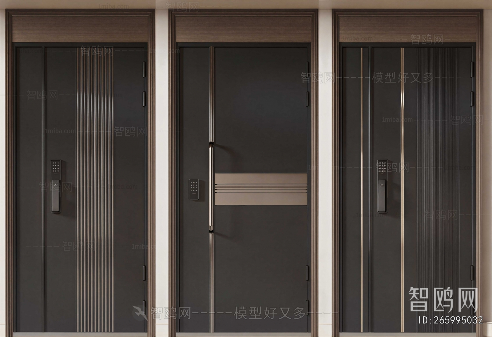 Modern Entrance Door