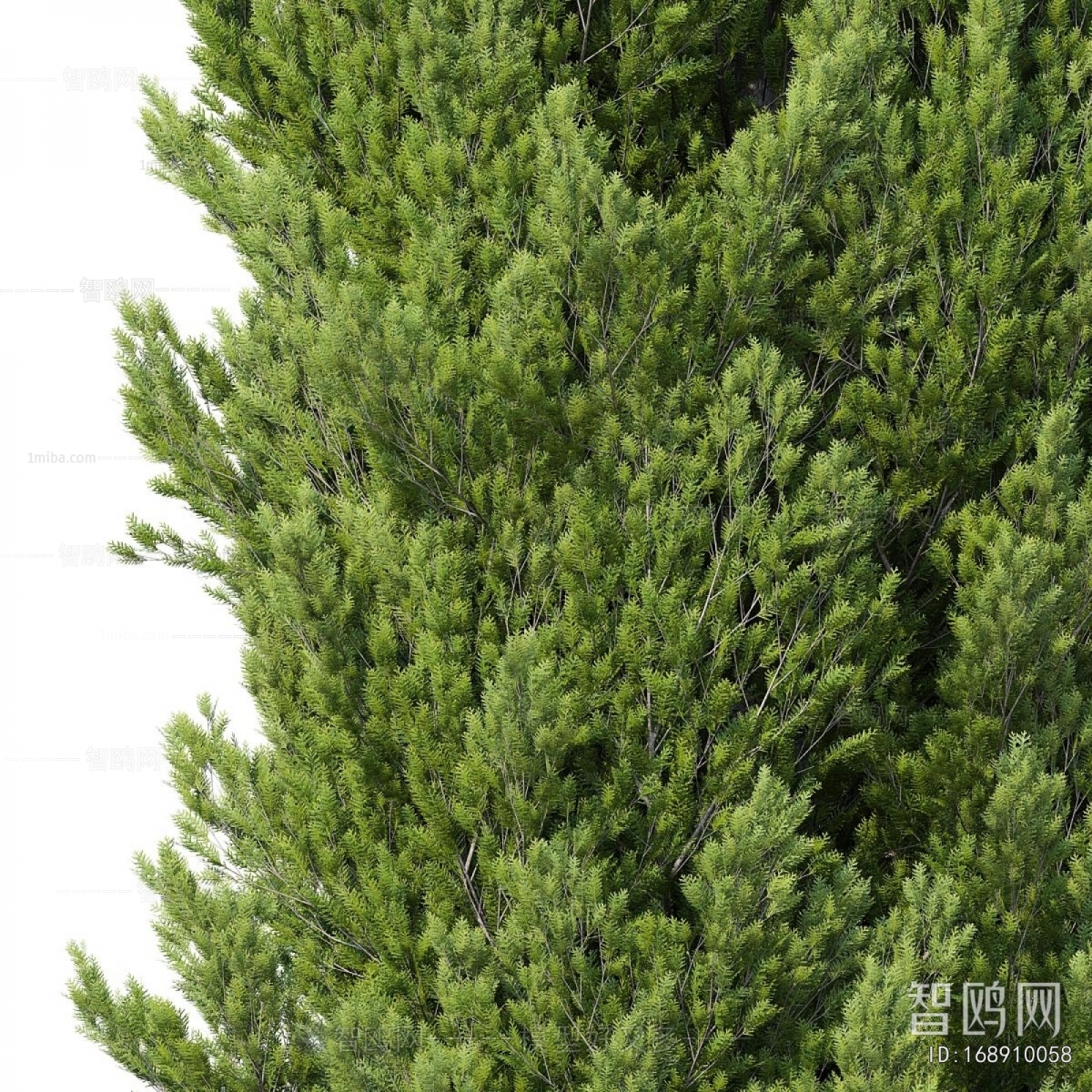 Modern Tree