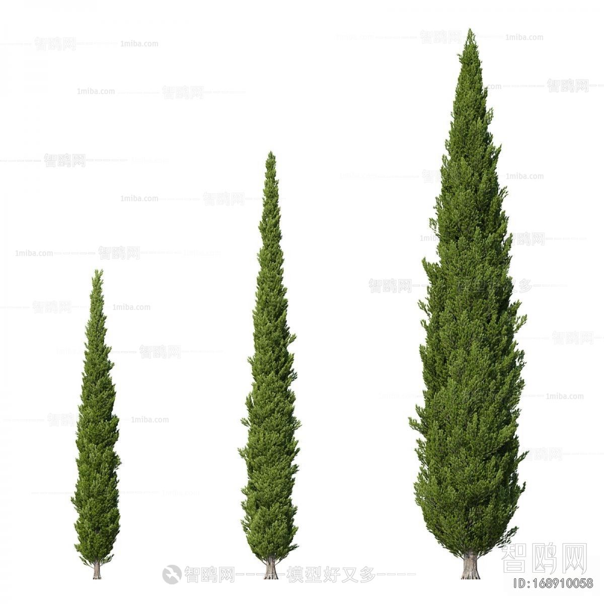 Modern Tree