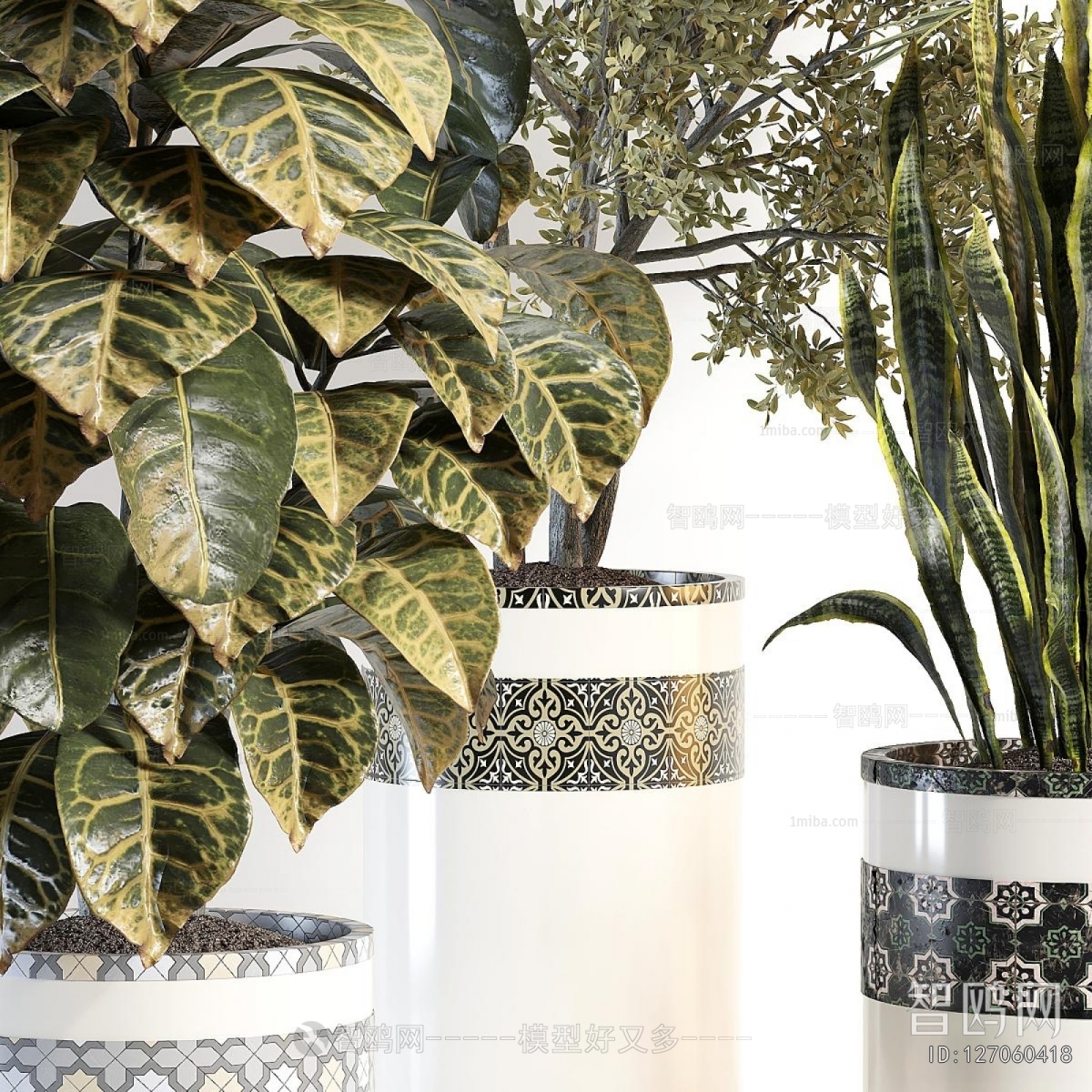 Modern Ground Green Plant Potted Plants