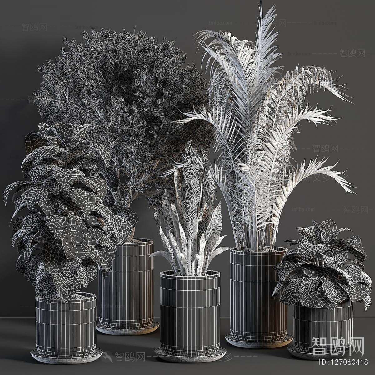 Modern Ground Green Plant Potted Plants