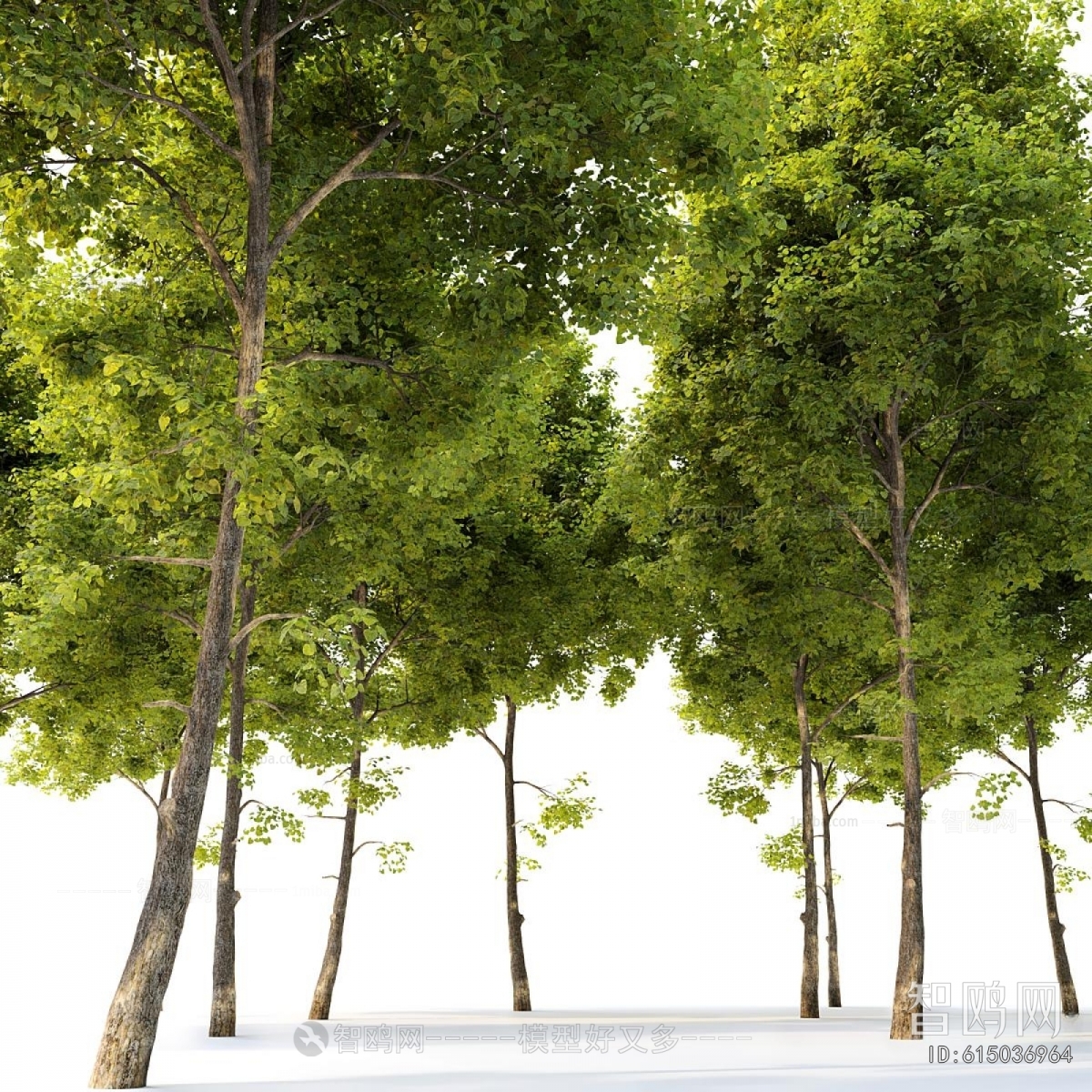 Modern Tree