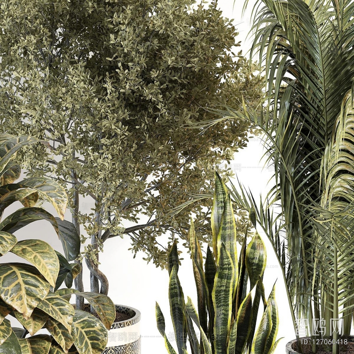 Modern Ground Green Plant Potted Plants