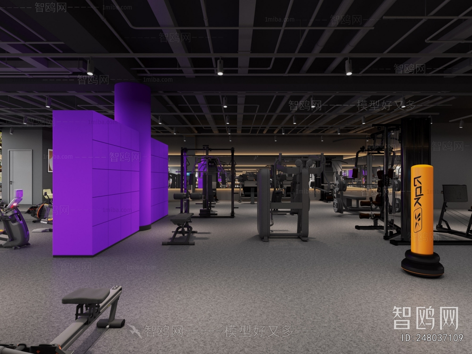 Modern Gym