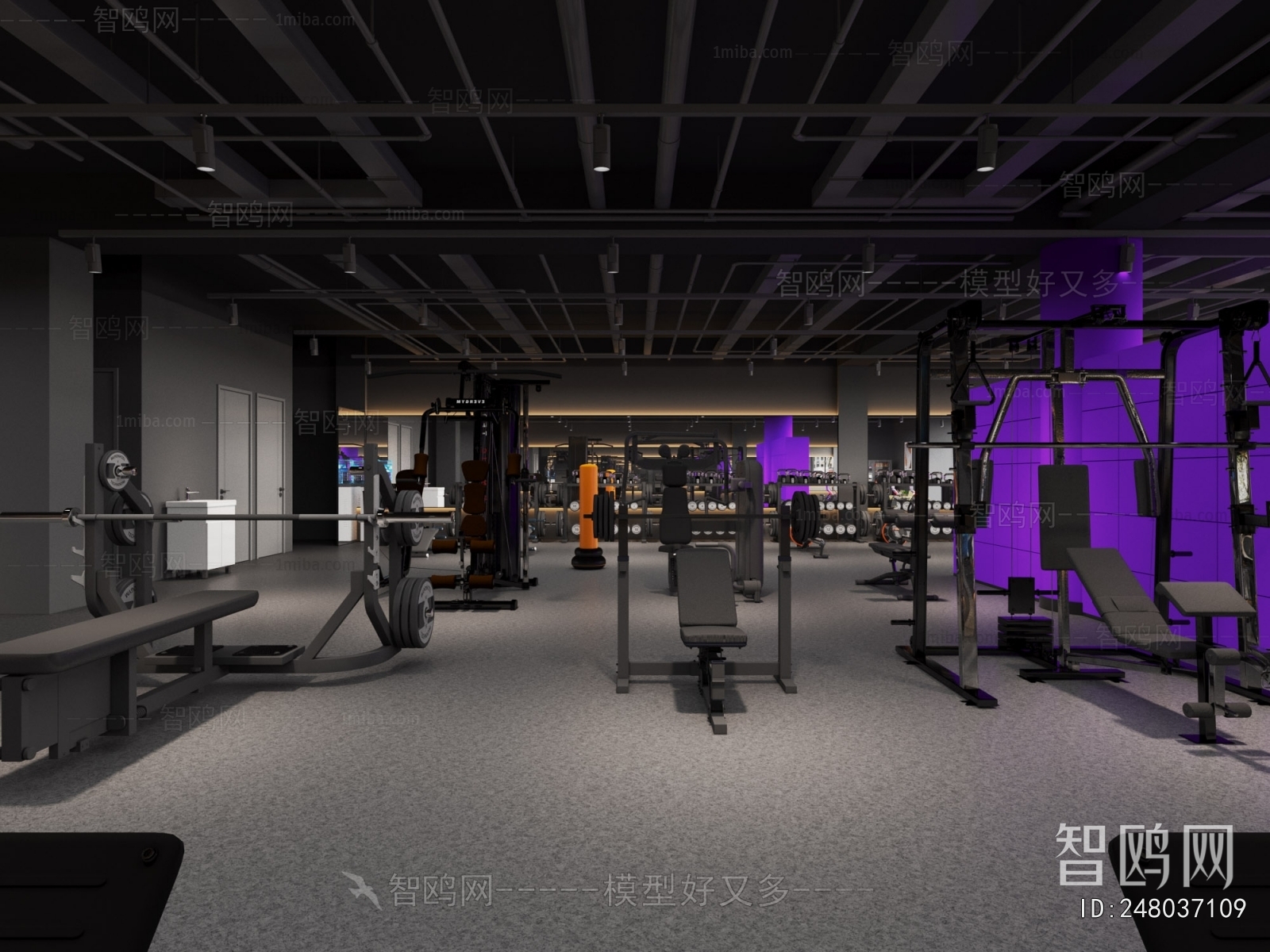 Modern Gym