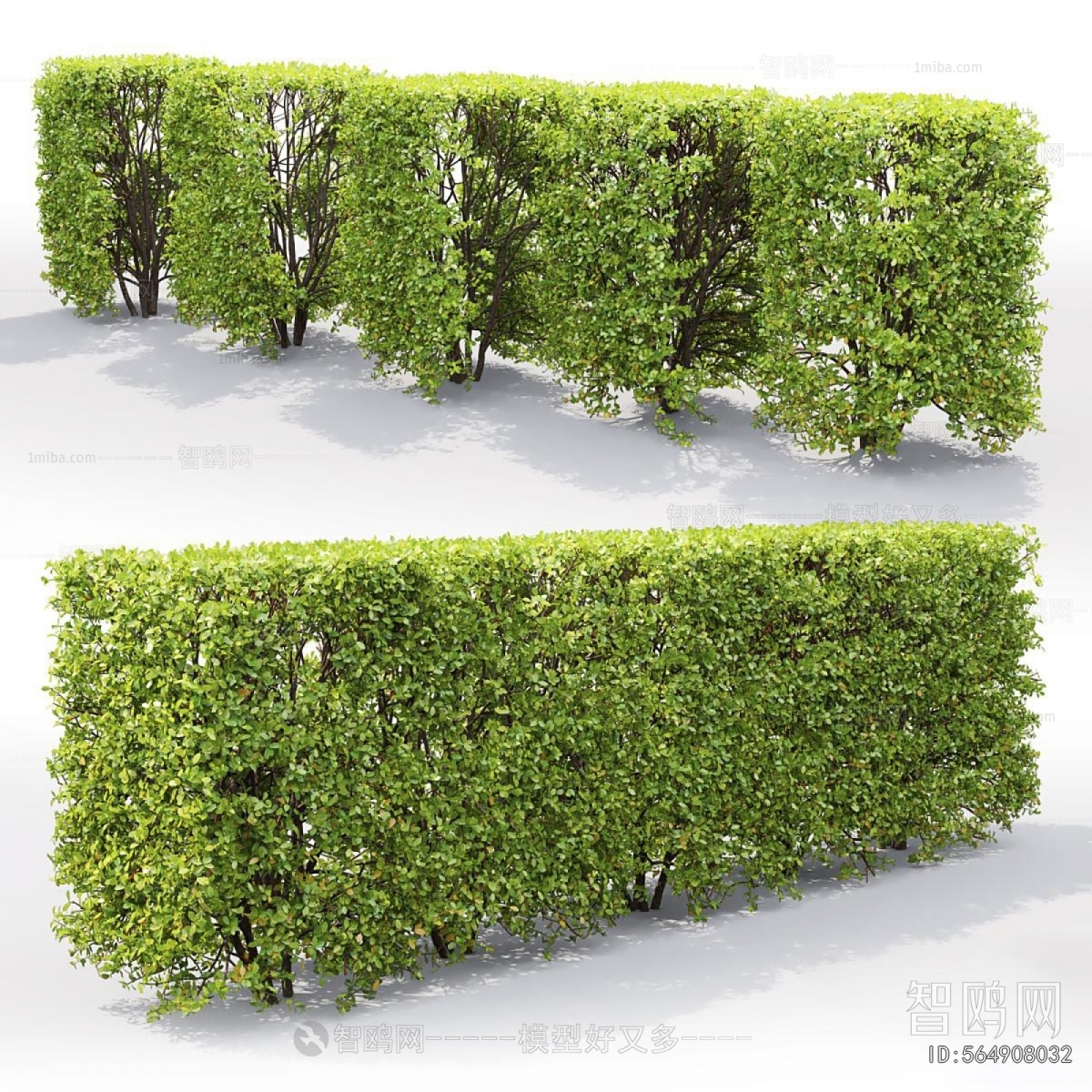 Modern Shrubbery