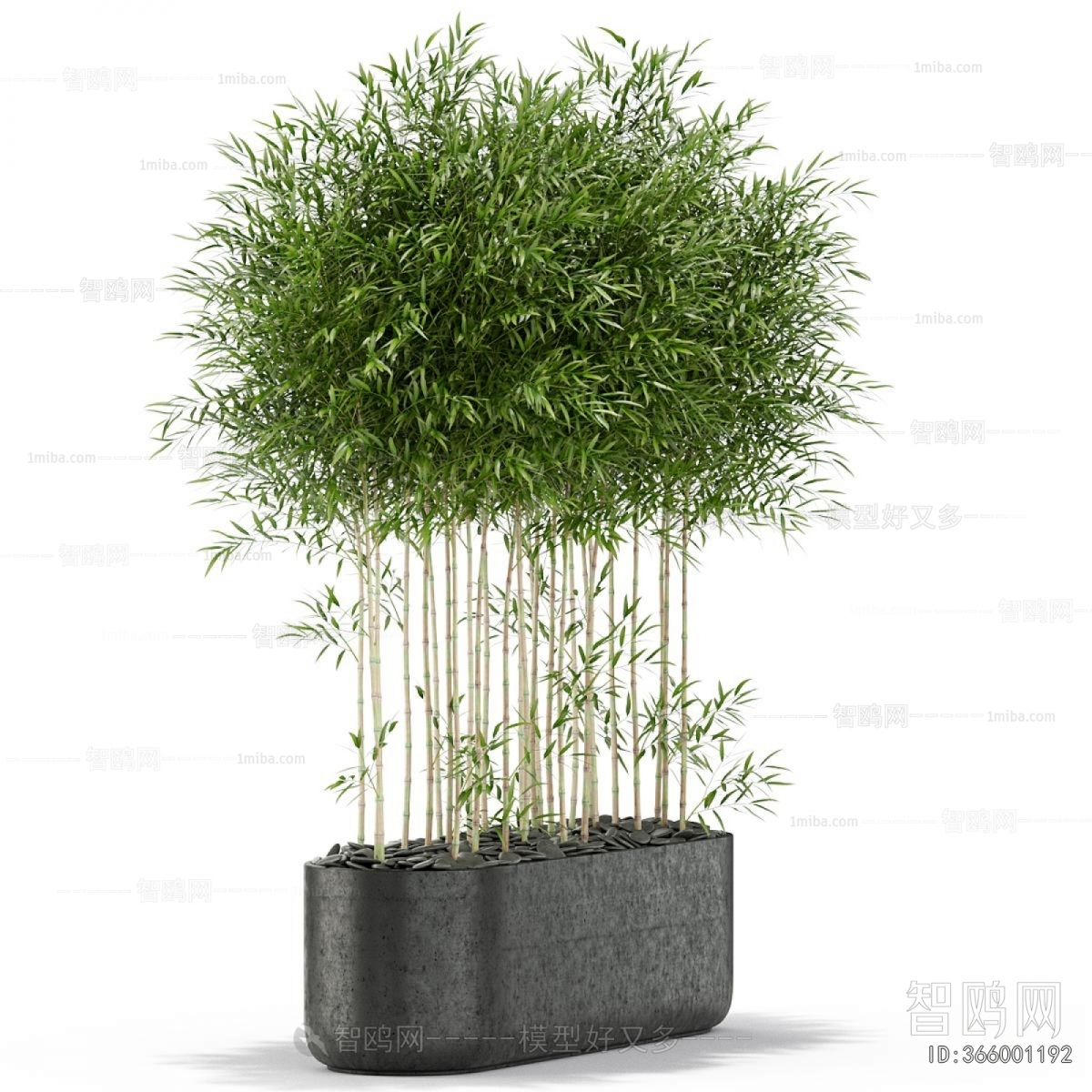 Modern Flower Bed, Flower Bowl, Flower Box