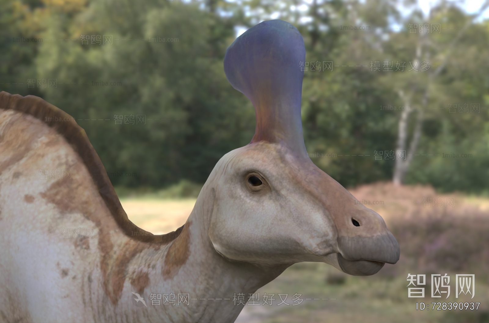 Modern Other Animals