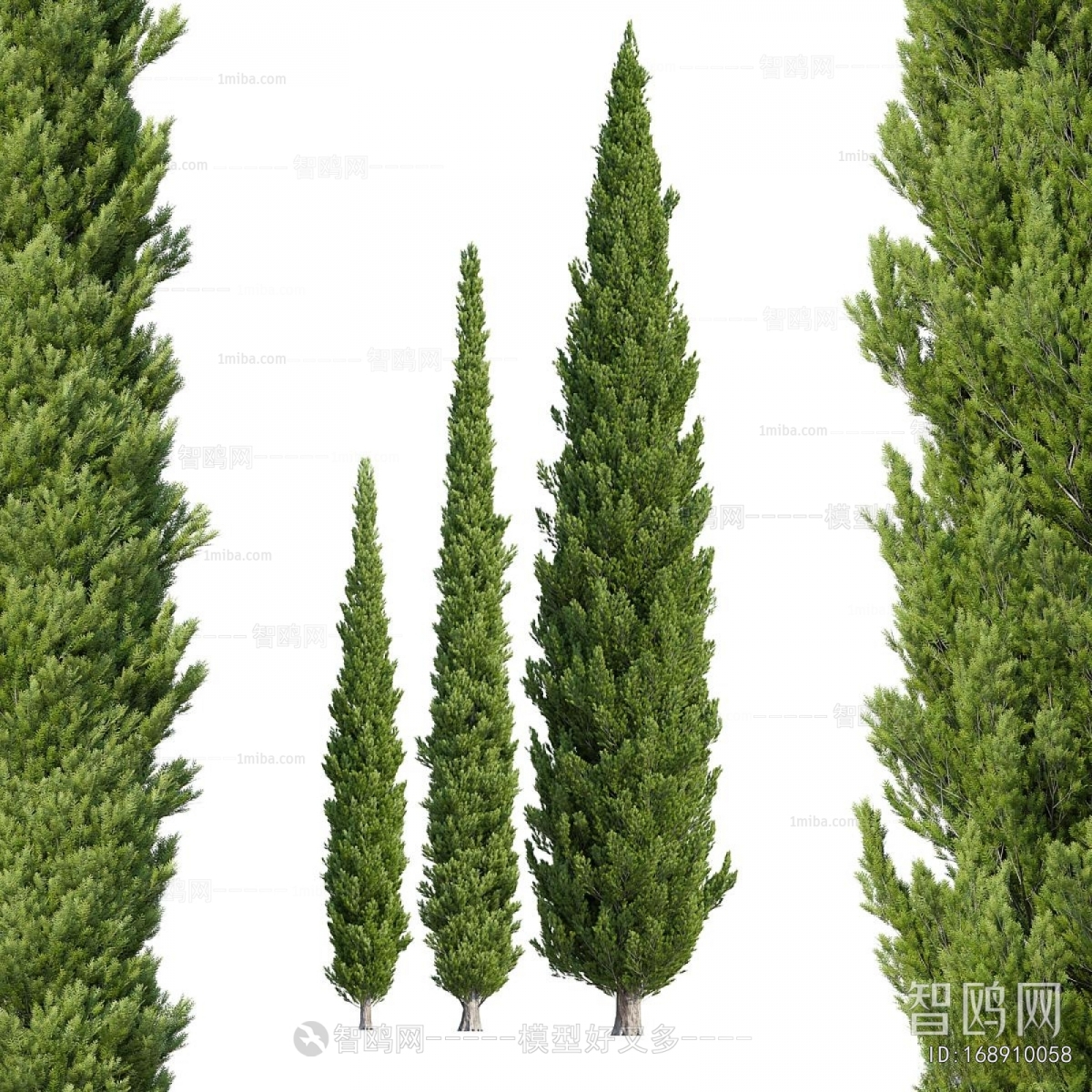 Modern Tree