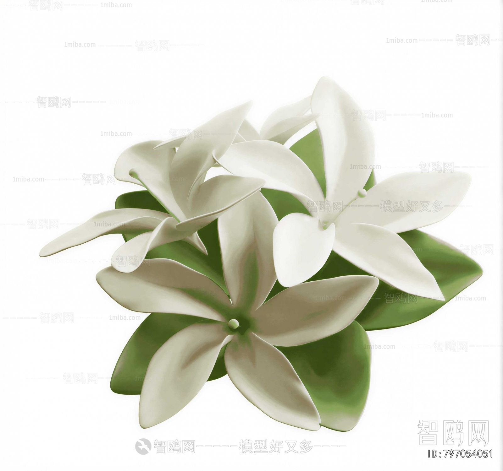 Modern Flowers And Grass
