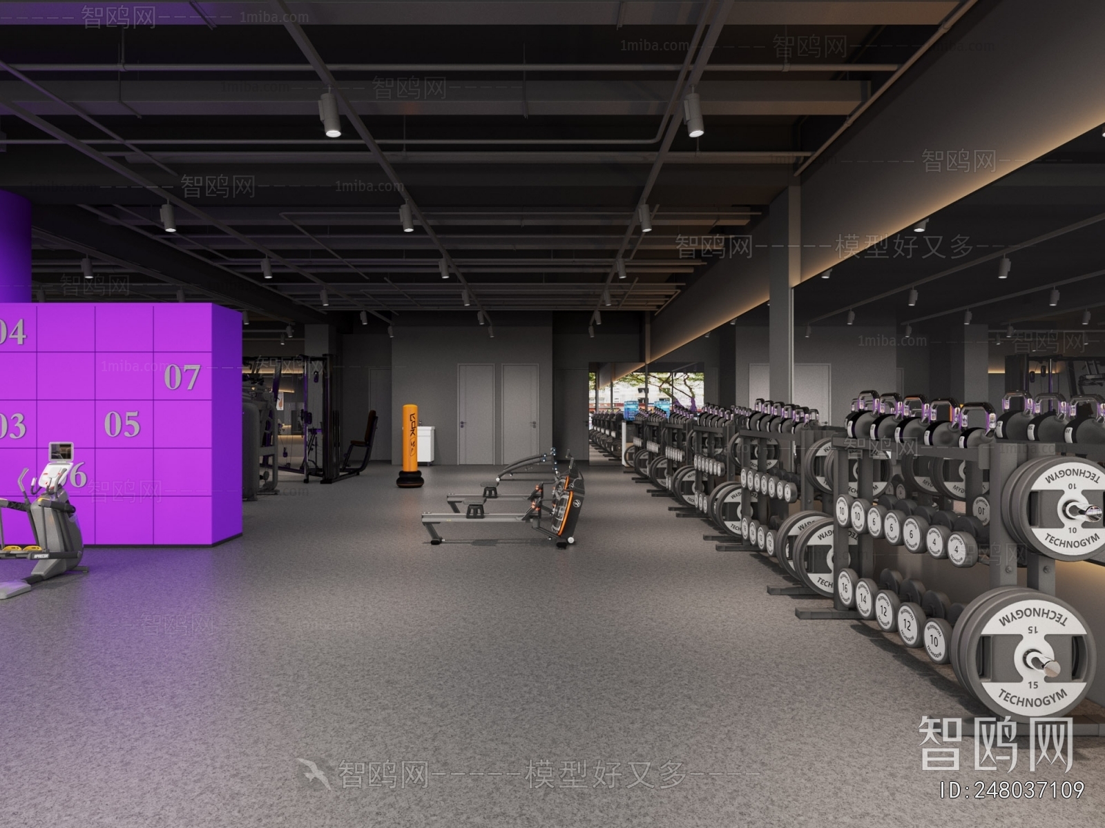 Modern Gym