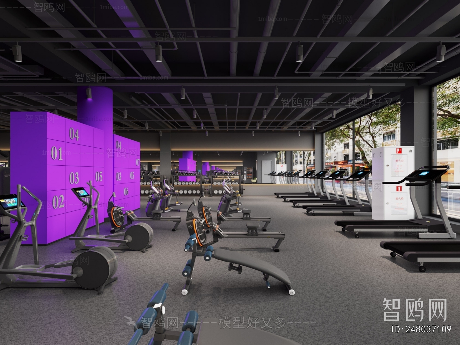 Modern Gym