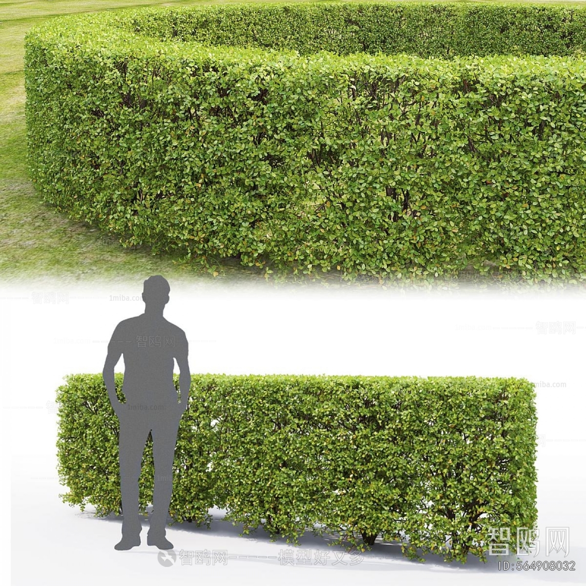 Modern Shrubbery