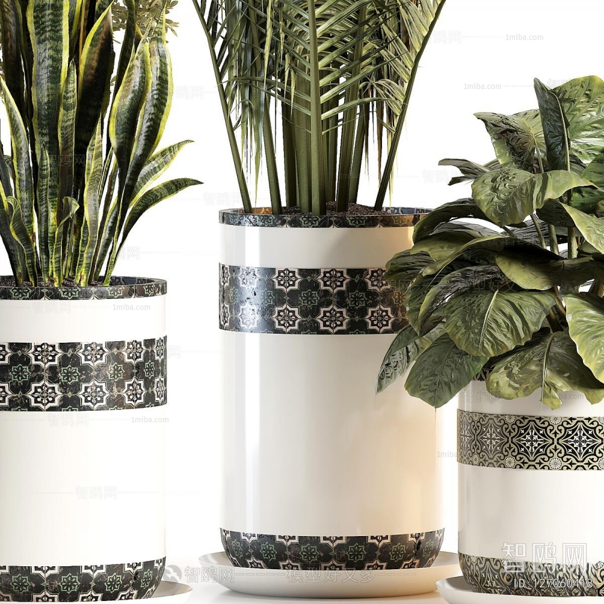 Modern Ground Green Plant Potted Plants