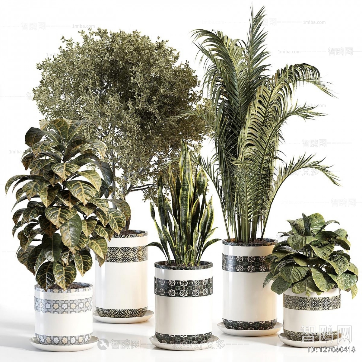 Modern Ground Green Plant Potted Plants