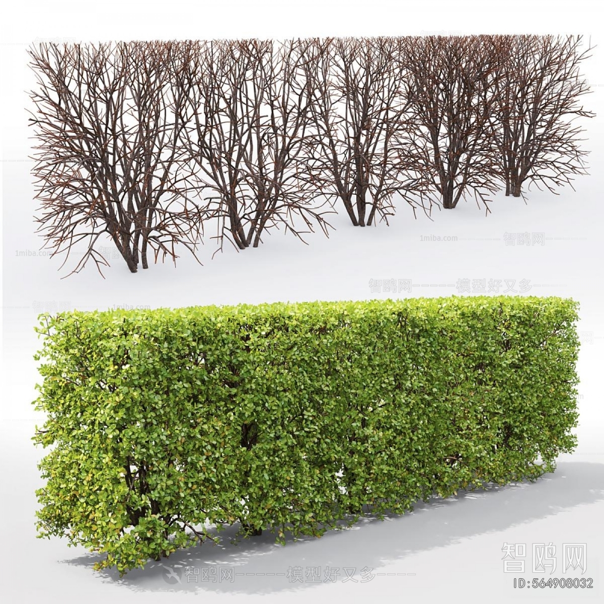 Modern Shrubbery