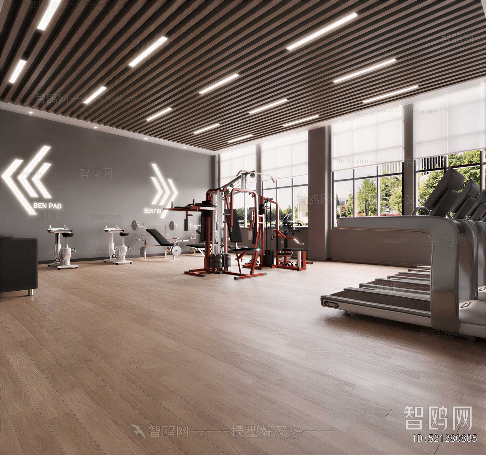 Modern Gym