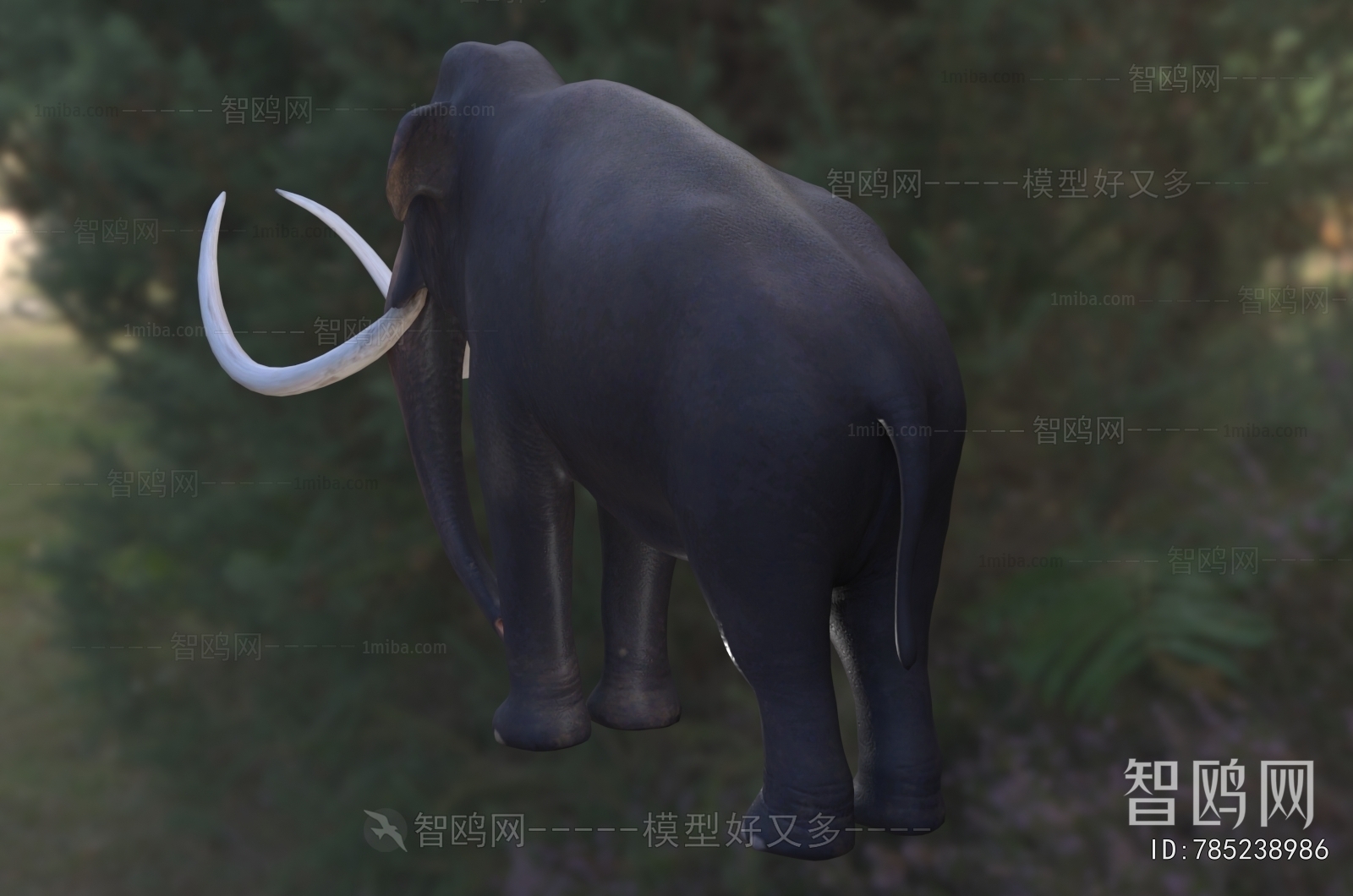 Modern Mammal