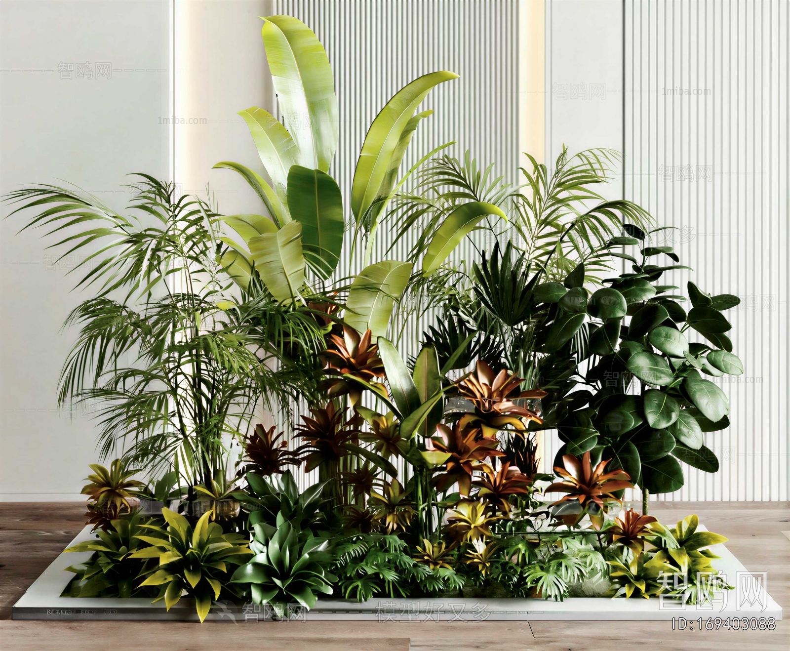 Modern Plant Landscaping