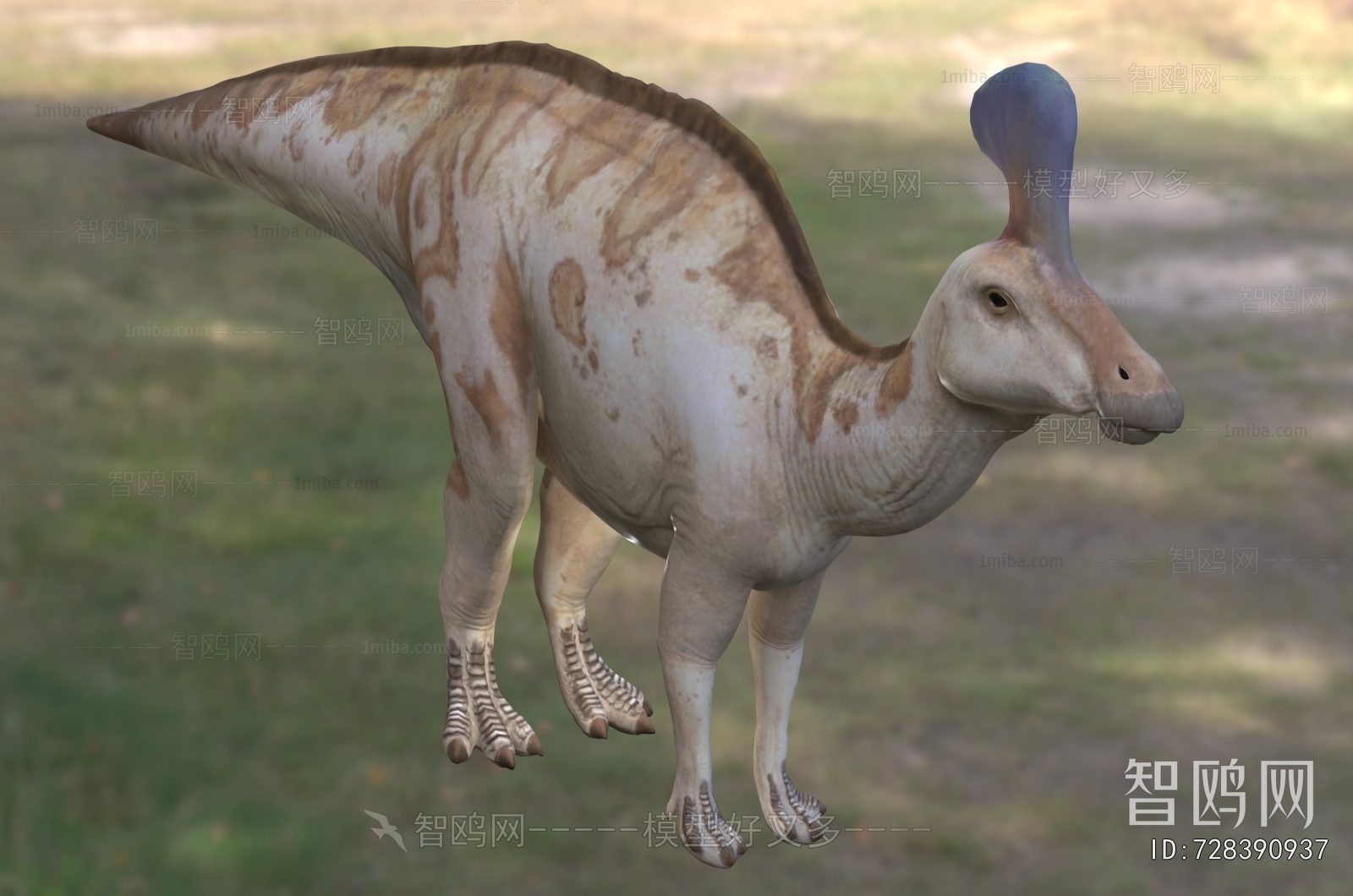 Modern Other Animals