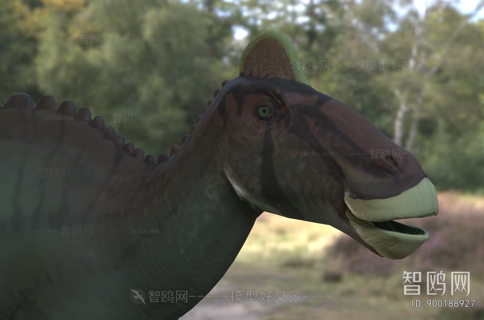 Modern Other Animals
