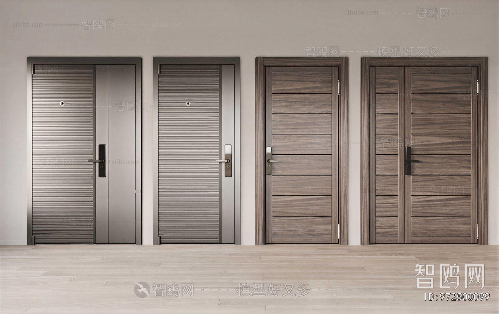 Modern Entrance Door