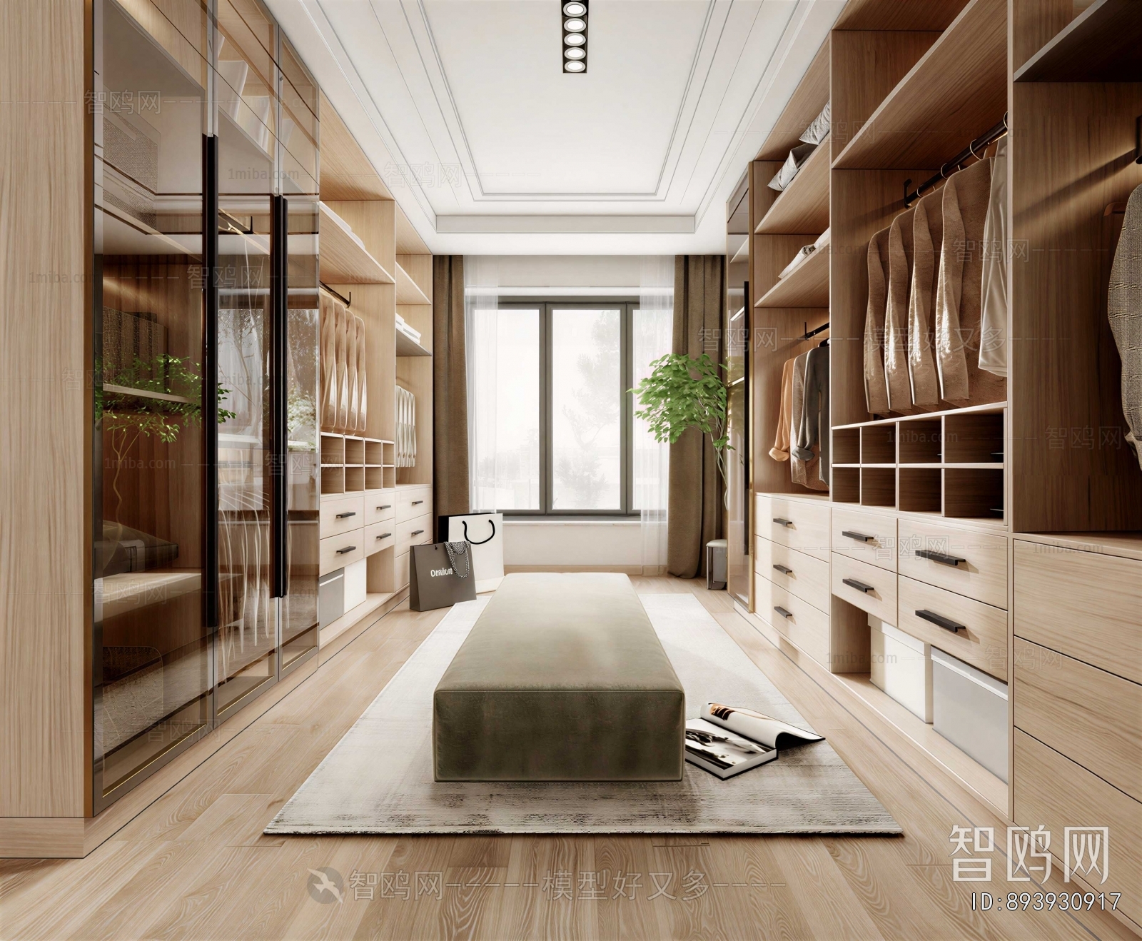 Modern Clothes Storage Area