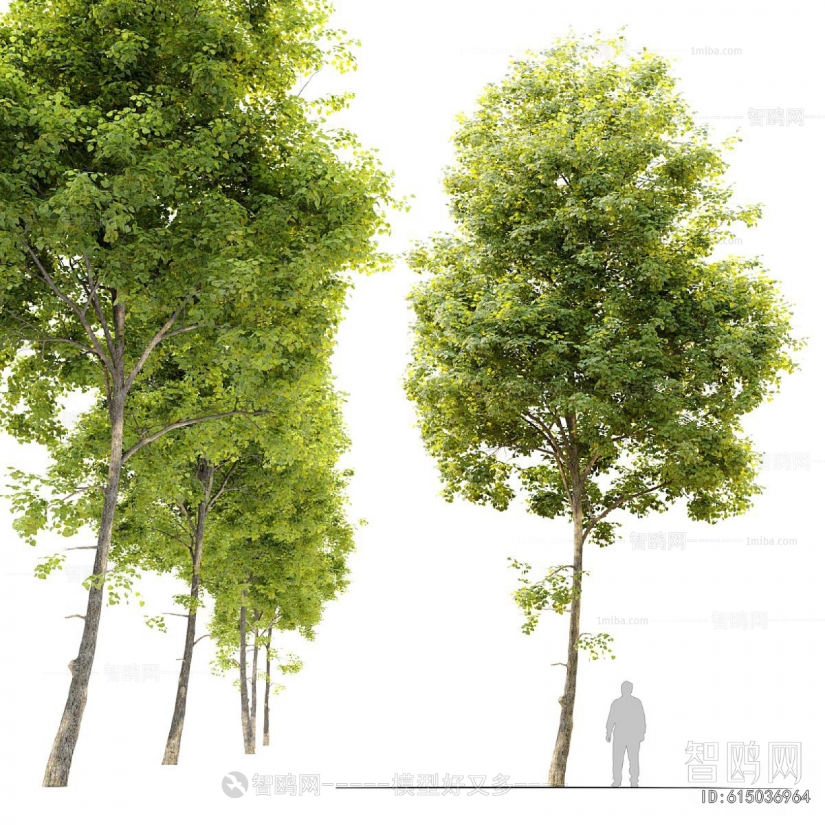 Modern Tree