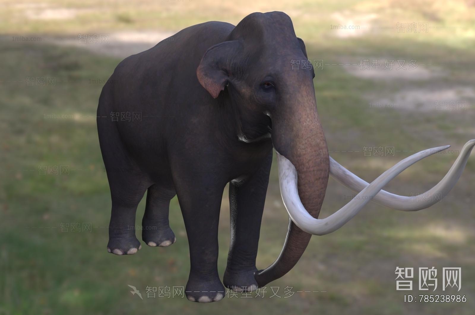 Modern Mammal