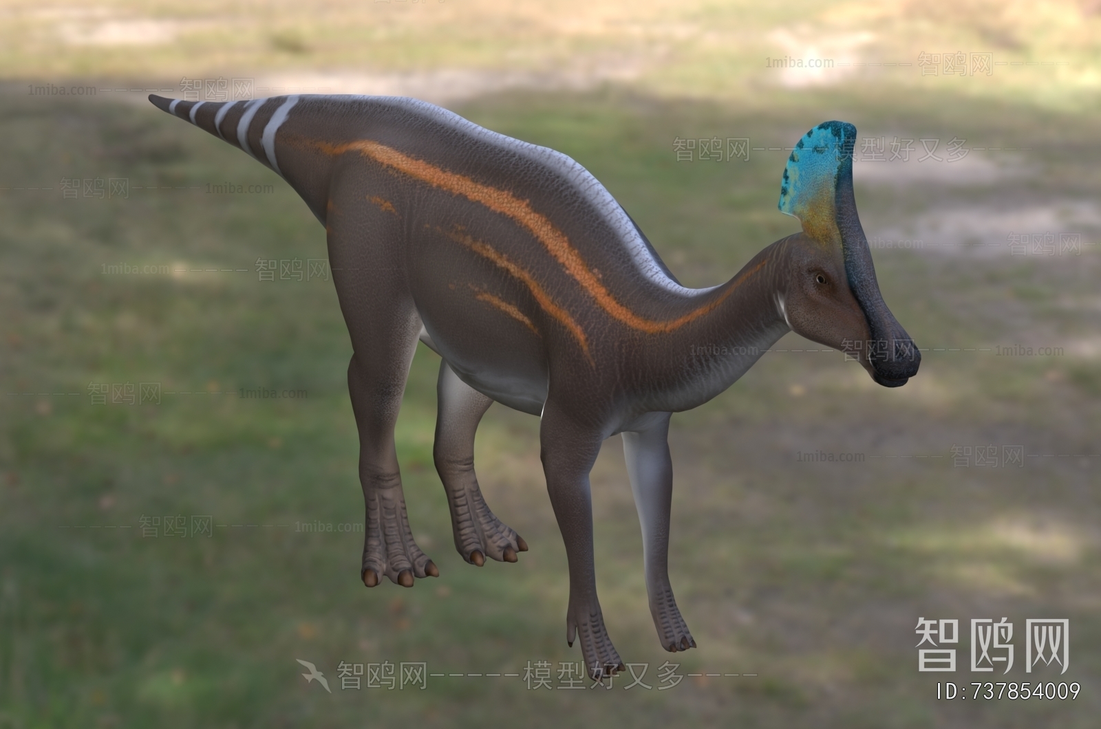 Modern Other Animals