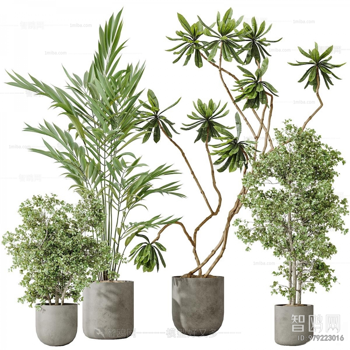 Modern Ground Green Plant Potted Plants