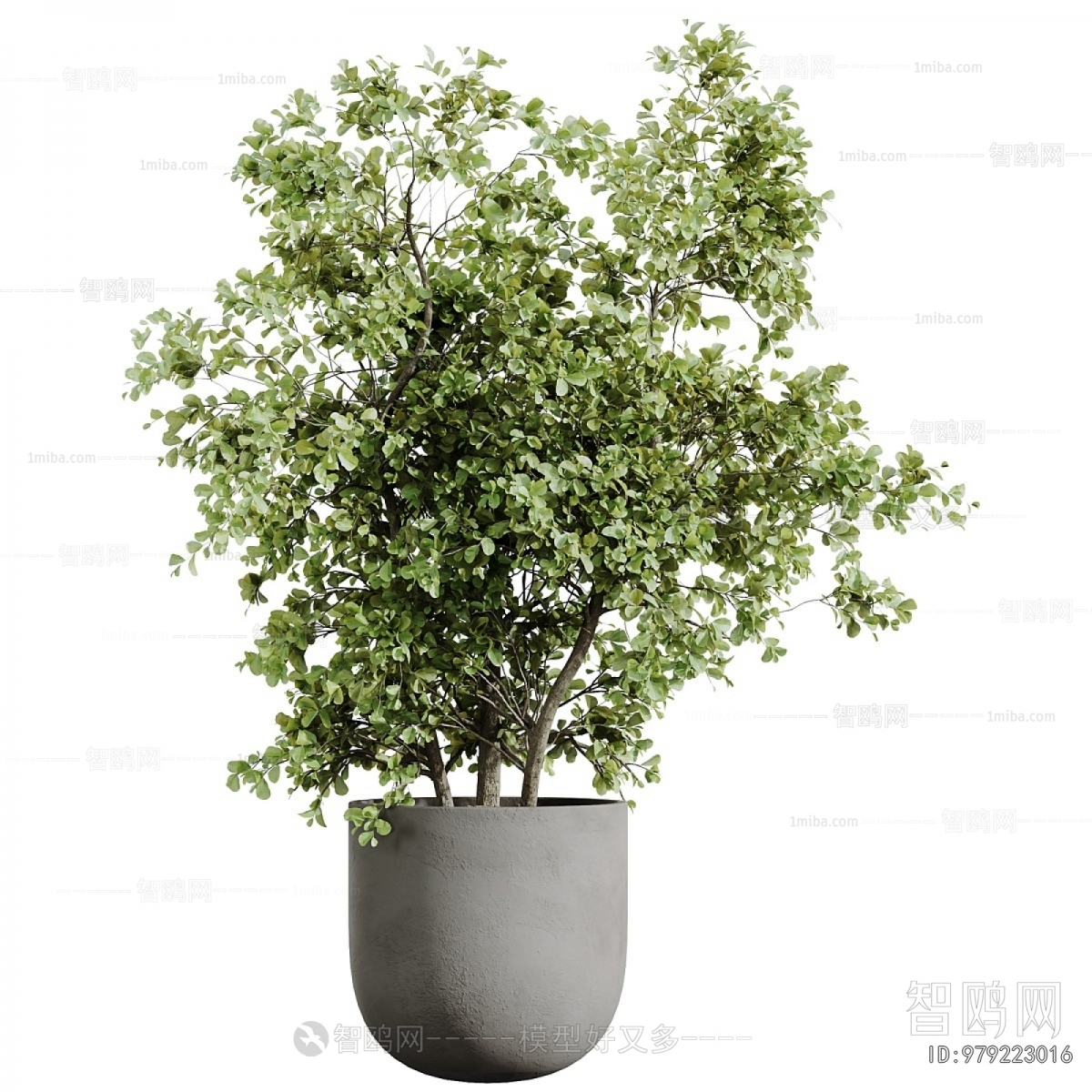 Modern Ground Green Plant Potted Plants